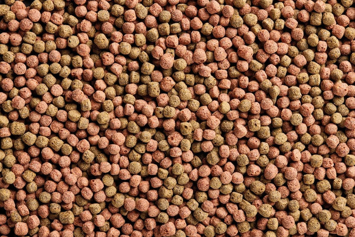 OASE Dynamix Koi Pellet gross 8 L, Fischfutter, Koifutter, Teichfischfutter, 7- 8 mm grosse Pellets,