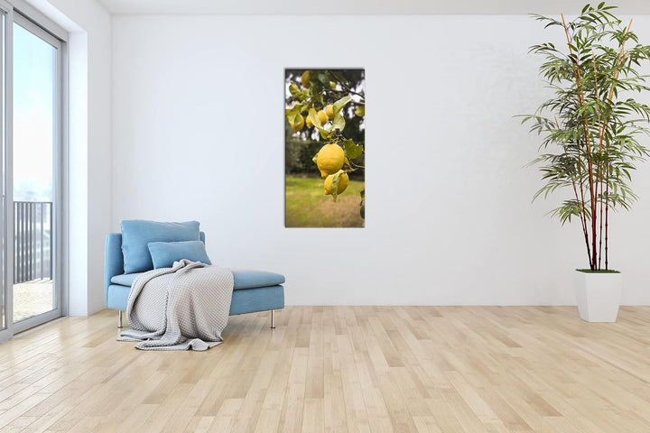 reife Zitronen am Baum Panorama 120x60 cm als Leinwandbild, Motiv fertig gerahmt auf Echtholzrahmen,