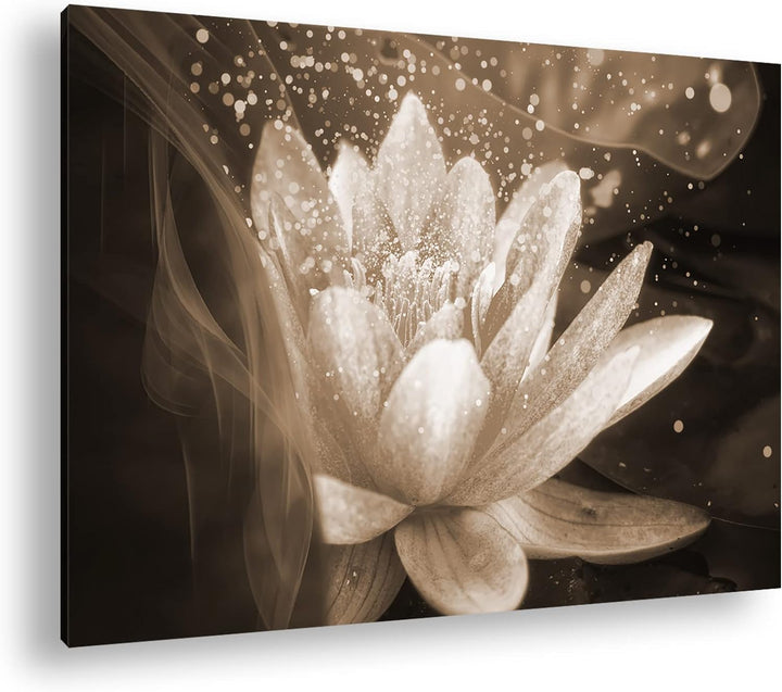 Lotus Seerose Format: 80x60 Effekt: Sepia als Leinwandbild, Motiv fertig gerahmt auf Echtholzrahmen,