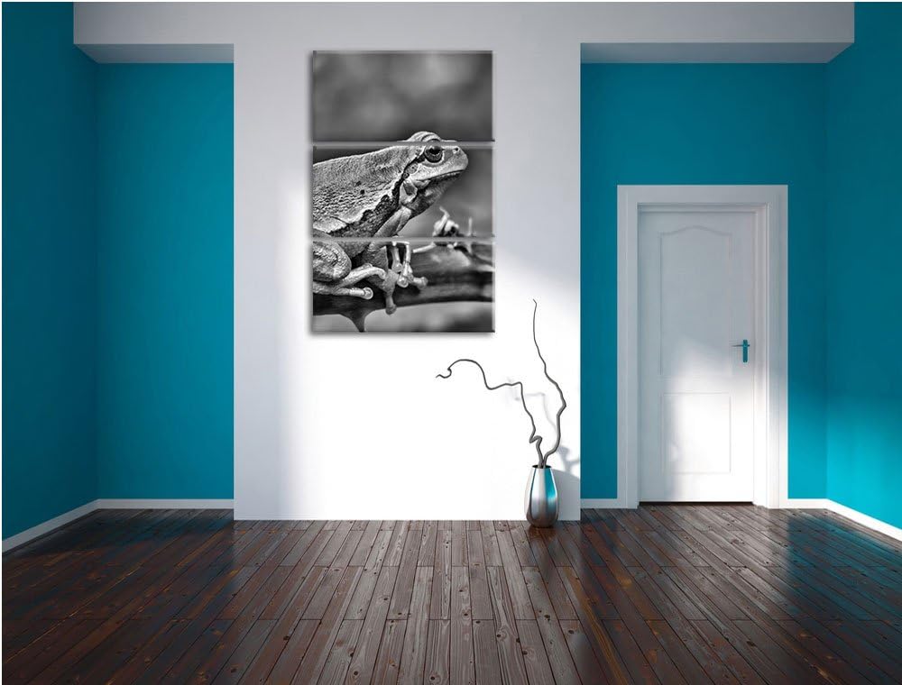 Pixxprint Kleiner Frosch auf Dornenast als Leinwandbild/Grösse: 3 Teilig (120x80) cm/Wandbild/Kunstd