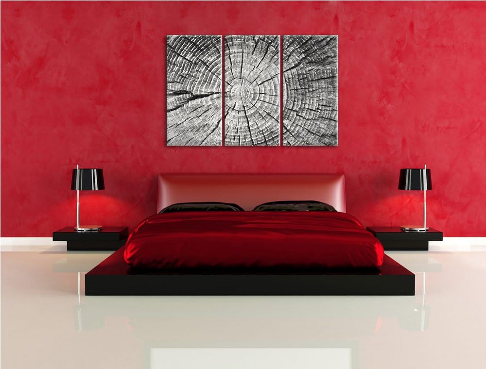 Baumstamm mit Jahresringen Spezial 3-Teiler Leinwandbild 120x80 Bild auf Leinwand, XXL riesige Bilde