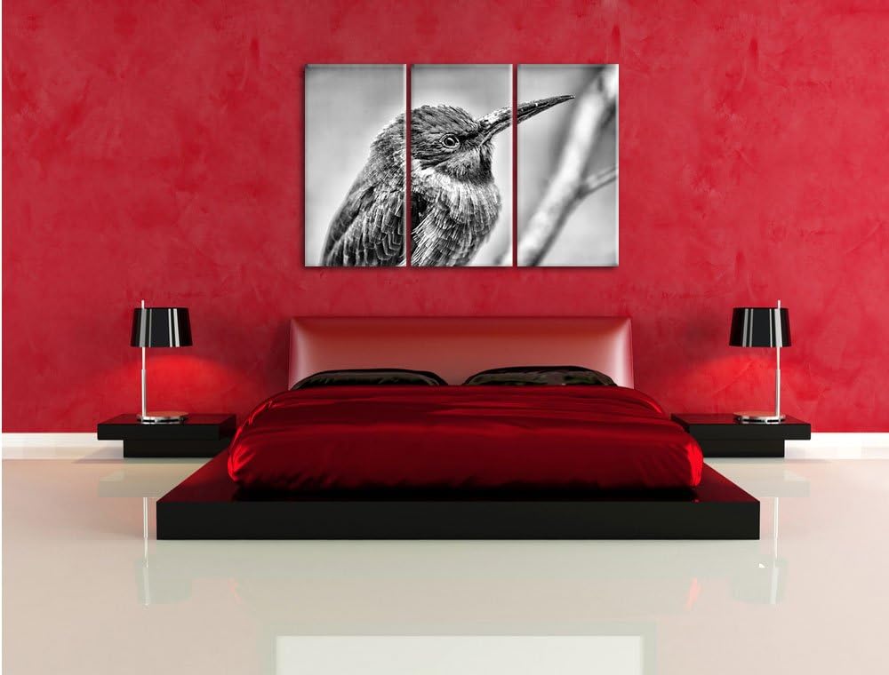 Pixxprint Kleiner tropischer Vogel als Leinwandbild/Grösse: 3 Teilig (120x80) cm/Wandbild/Kunstdruck
