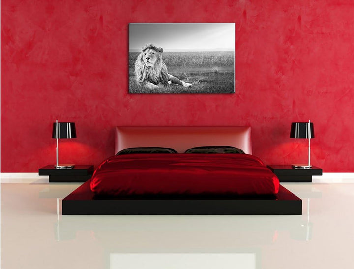 Pixxprint Majestätischer Löwe Kunst B&W als Leinwandbild/Grösse: 100x70 / Wandbild/Kunstdruck/fertig