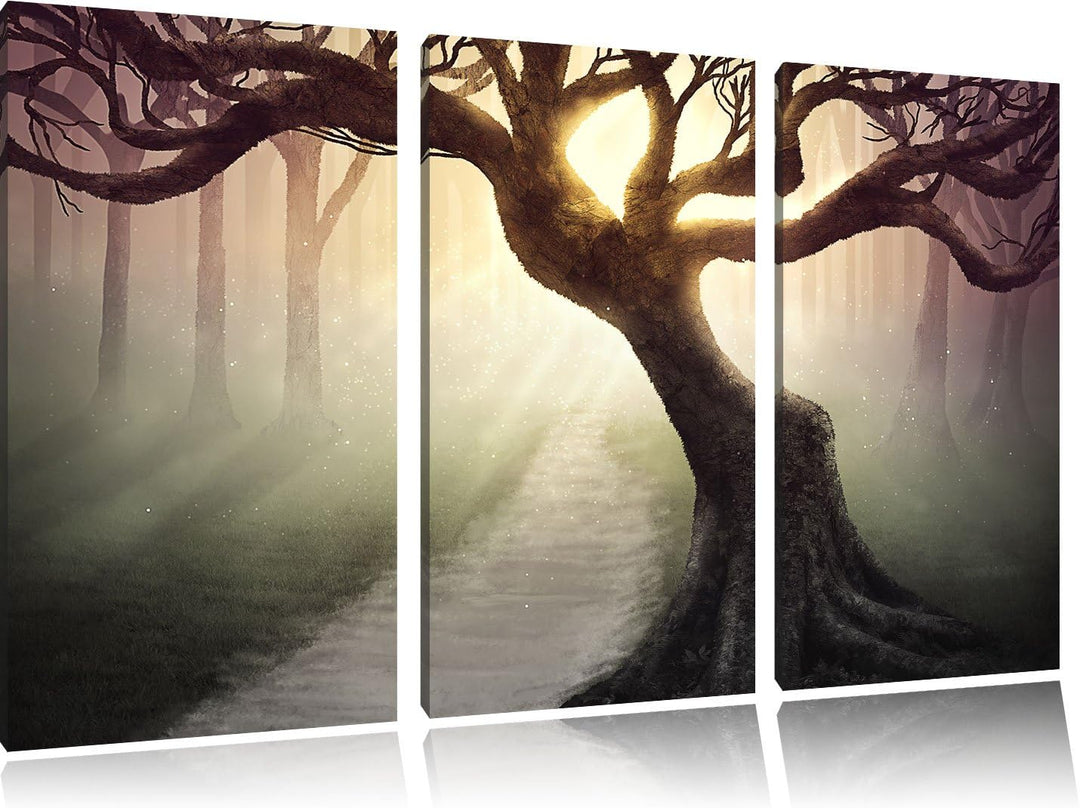 Pixxprint Baum am Waldweg als Leinwandbild/Grösse: 3 Teilig (120x80) cm/Wandbild/Kunstdruck/fertig b
