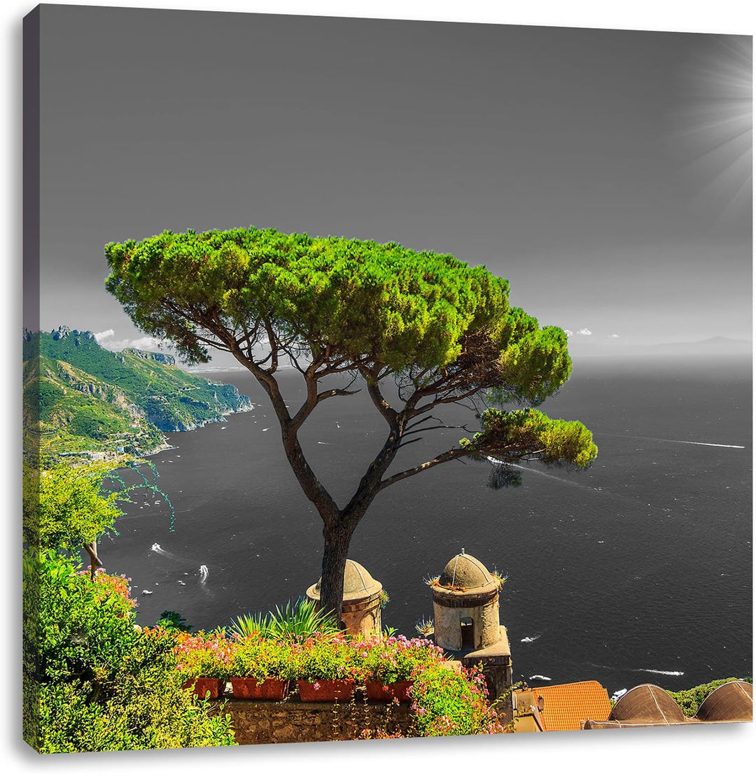 Pixxprint Baum am Mittelmeer als Leinwandbild/Grösse: 70x70 cm/Wandbild/Kunstdruck/fertig bespannt,