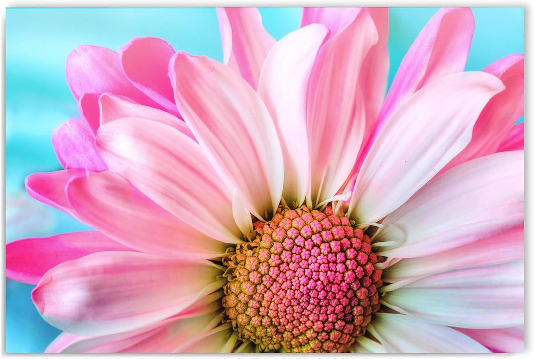 Feeby. BLUME Bild auf Leinwand Grösse: 60x80 cm, 1 Teilig Leinwanbild Wandbild Kunstdrucke Wanddeko