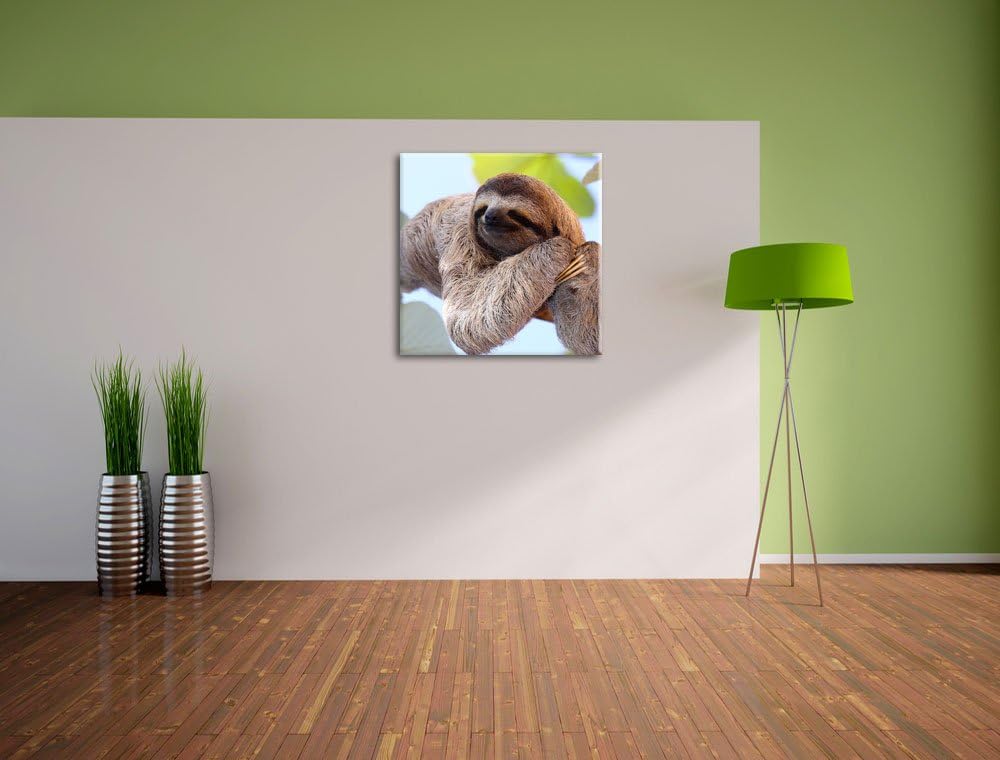 Pixxprint schönes Faultier hängt von AST als Leinwandbild/Grösse: 70x70 cm/Wandbild/Kunstdruck/ferti