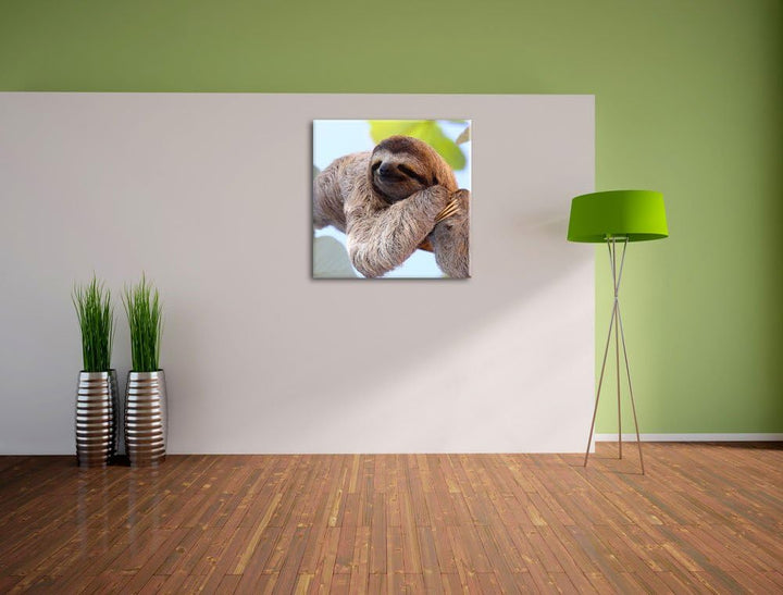 Pixxprint schönes Faultier hängt von AST als Leinwandbild/Grösse: 70x70 cm/Wandbild/Kunstdruck/ferti