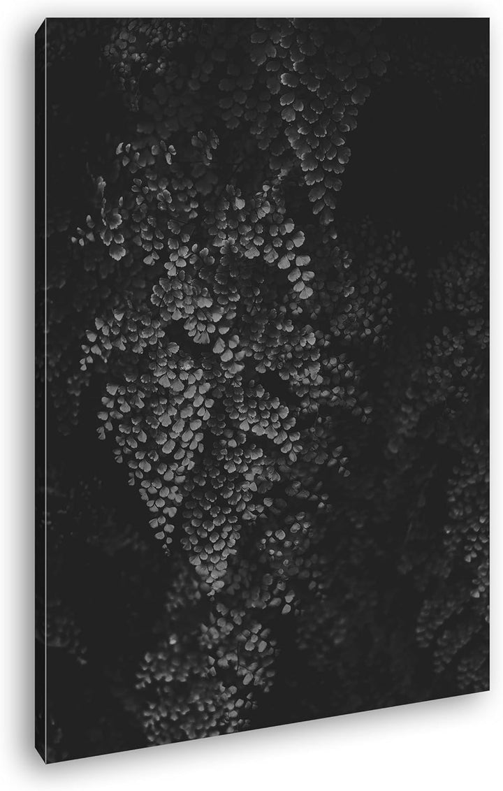 deyoli bezaubernde Blätterwand Format: 80x60 Effekt: Schwarz/Weiss als Leinwand, Motiv fertig gerahm