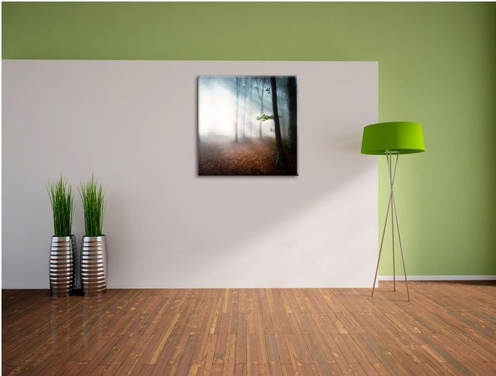 Düsterer Wald im Nebel, Format: 70x70 auf Leinwand, XXL riesige Bilder fertig gerahmt mit Keilrahmen