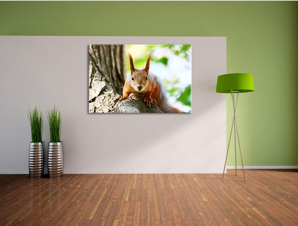 Pixxprint interessantes Eichhörnchen auf dem Baum, Format: 100x70 auf Leinwand, 100x70