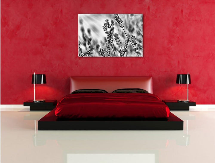 Pixxprint Eleganter Lavendel / 100x70cm Leinwandbild bespannt auf Holzrahmen/Wandbild Kunstdruck Dek