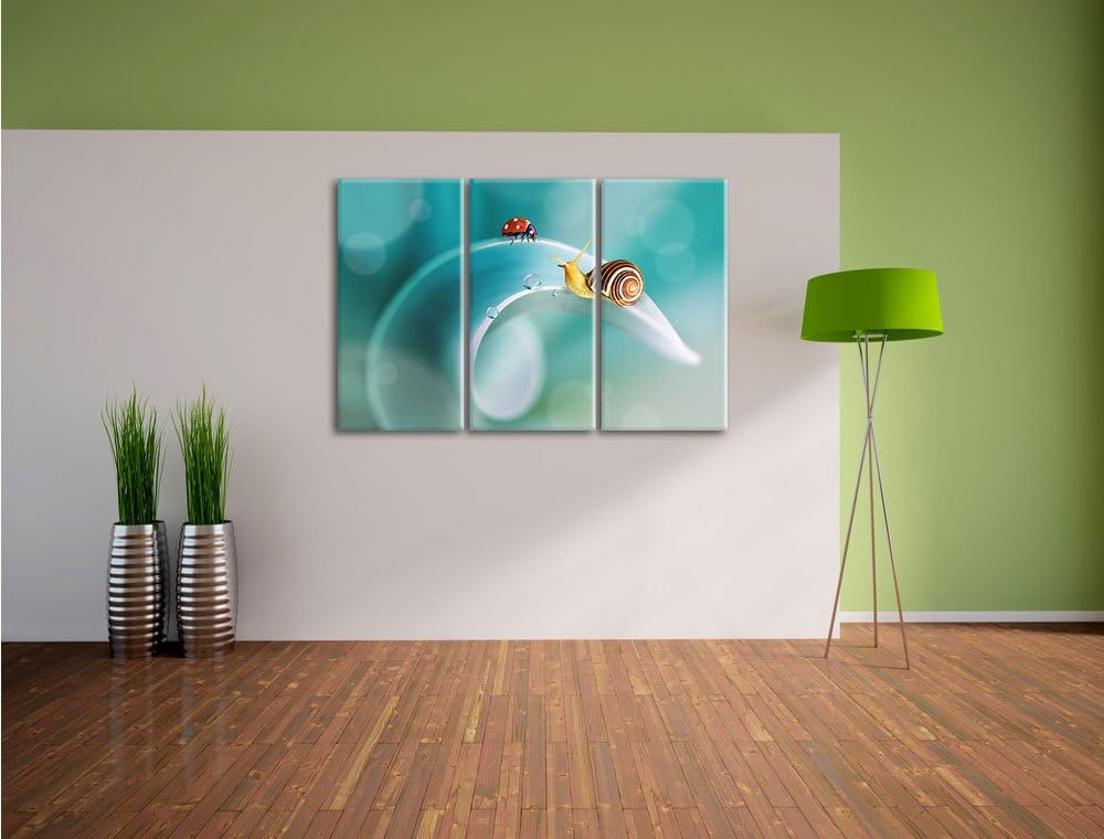 Pixxprint eine Schnecke und Marienkäfer / 3-Teilig/Gesamtmass 120cm Leinwandbild bespannt auf Holzra