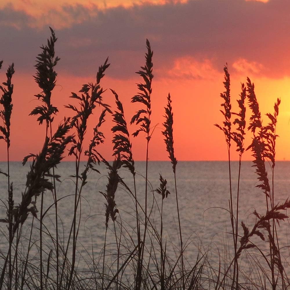 Feeby Bilder Landschaft 100x70 cm - Leinwandbild - 5 Teilig - Kunstdruck Gras bunt Leinwandbild 100x