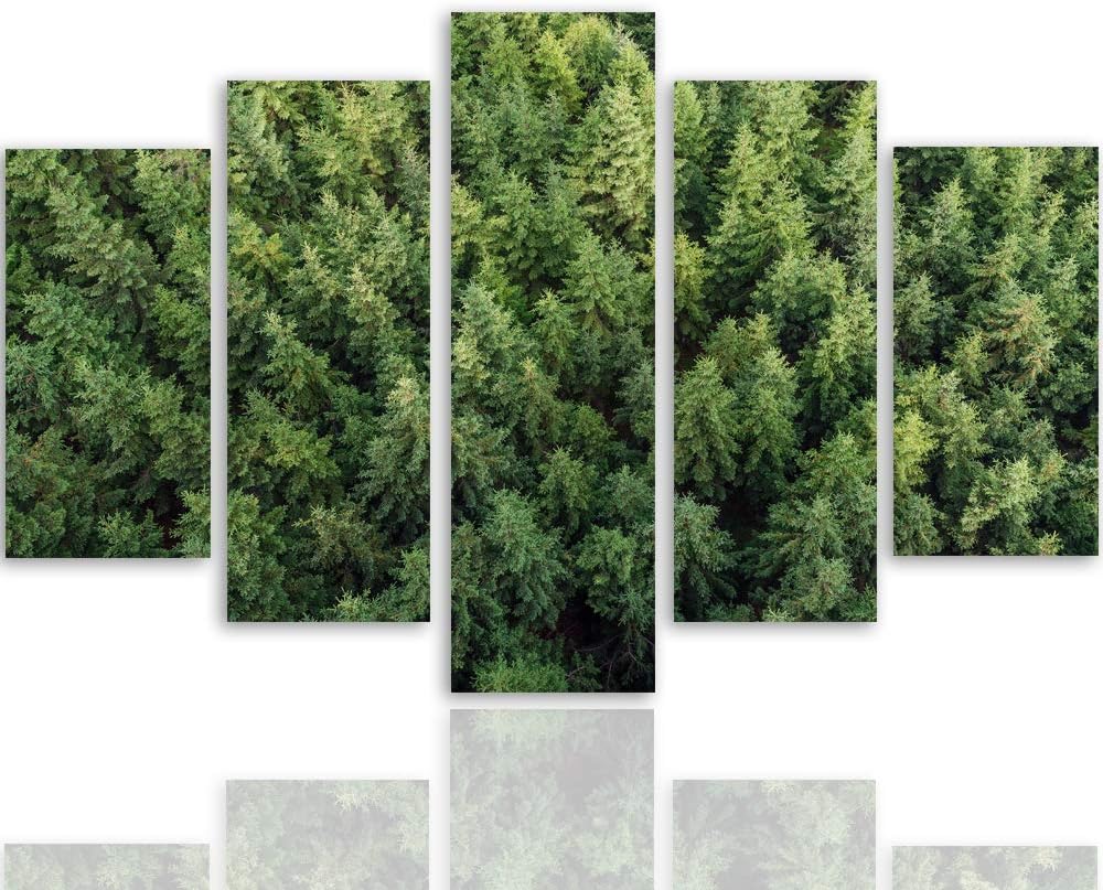 Feeby Leinwandbild 5 Teilig Landschaft Bild Wanddeko Wald Bäume Fichten grün 200x100 cm Leinwandbild