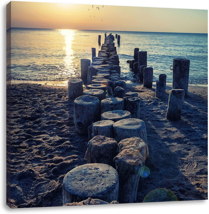 Baumstümpfe am Meer, Format: 70x70 auf Leinwand, XXL riesige Bilder fertig gerahmt mit Keilrahmen, K