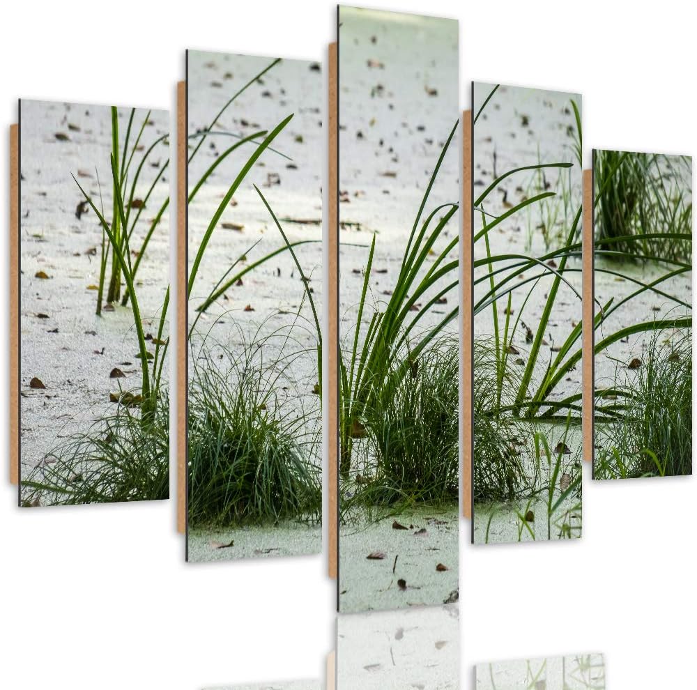 Feeby Deco Bild 5 Teilig Natur Wanddekoration Gras Strand Sand Landschaft grün 150x100 cm Deco panel