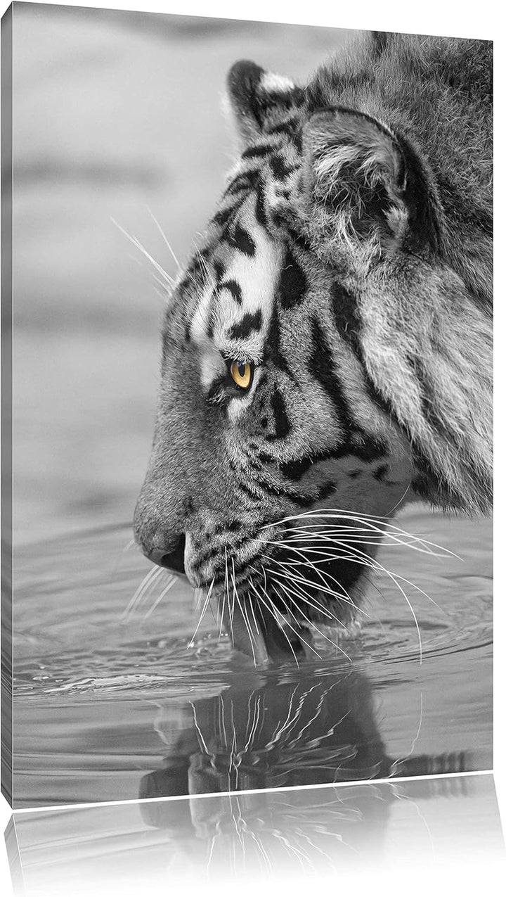 maiestätischer Tiger am Wasserloch schwarz/weiss auf Leinwand, XXL riesige Bilder fertig gerahmt mit
