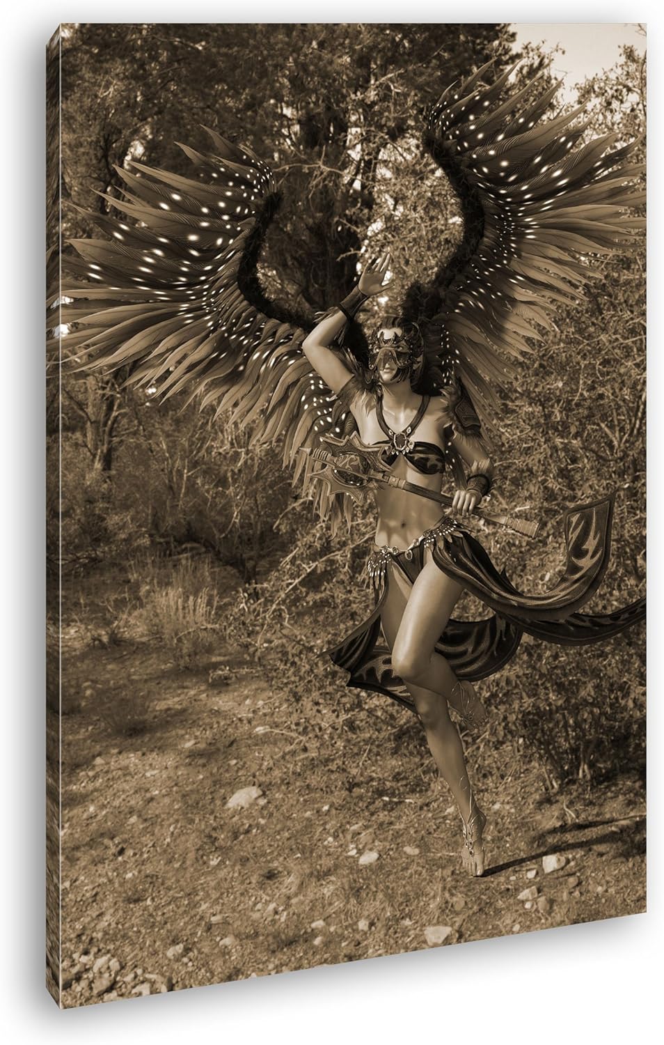 deyoli Feen Kriegerin Format: 80x60 Effekt: Sepia als Leinwand, Motiv fertig gerahmt auf Echtholzrah