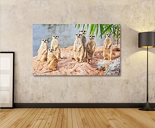 islandburner Bild Bilder auf Leinwand Erdmaennchen 1p XXL Poster Leinwandbild Wandbild art up your l