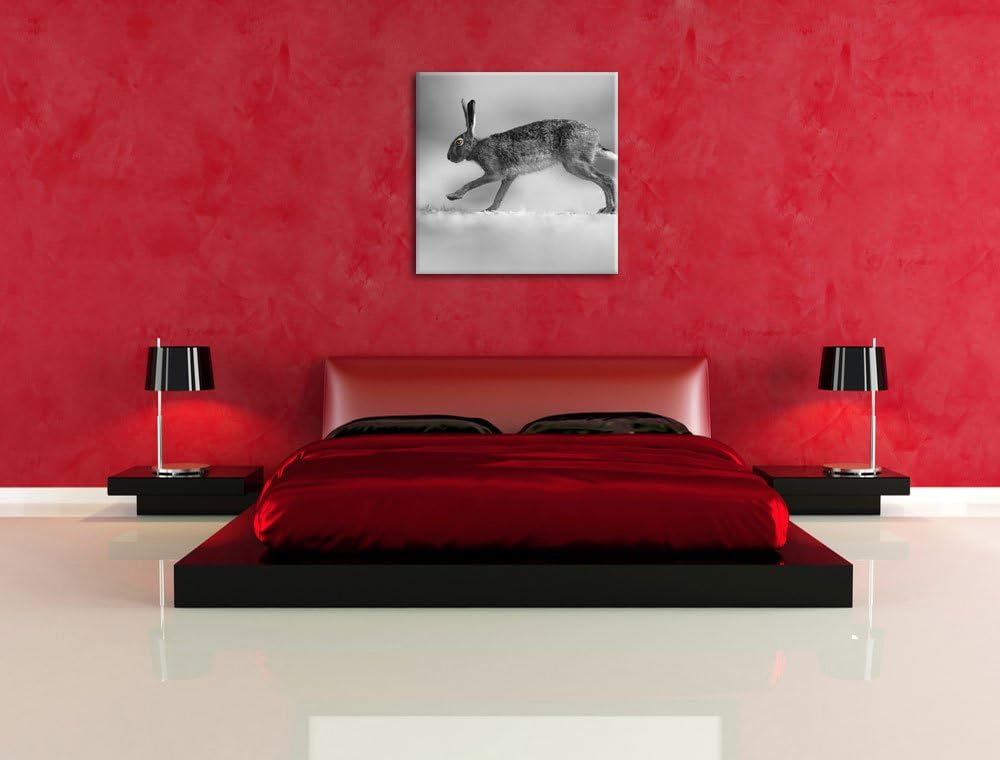 Pixxprint Springender Feldhase als Leinwandbild/Grösse: 70x70 cm/Wandbild/Kunstdruck/fertig bespannt