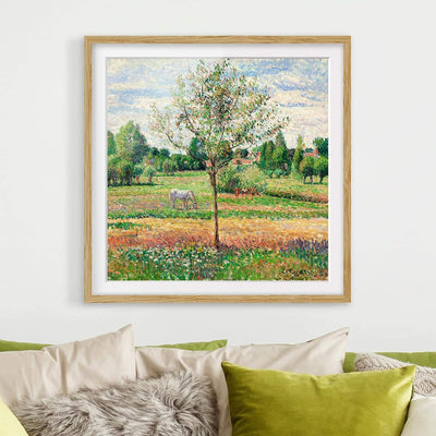 Bild mit Rahmen - Camille Pissarro - Wiese mit Schimmel - Eiche, 70 x 70 cm 70cm x 70cm Eiche, 70cm