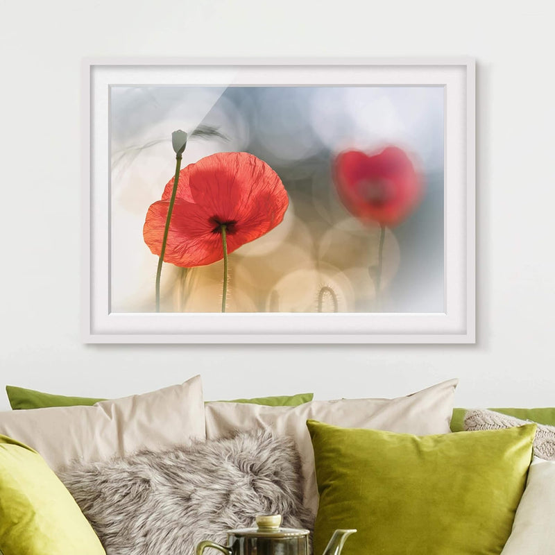 Bild mit Rahmen - Mohnblumen am Morgen - Rahmenfarbe Weiss, 70 x 100 cm 70cm x 100cm Weiss, 70cm x 1