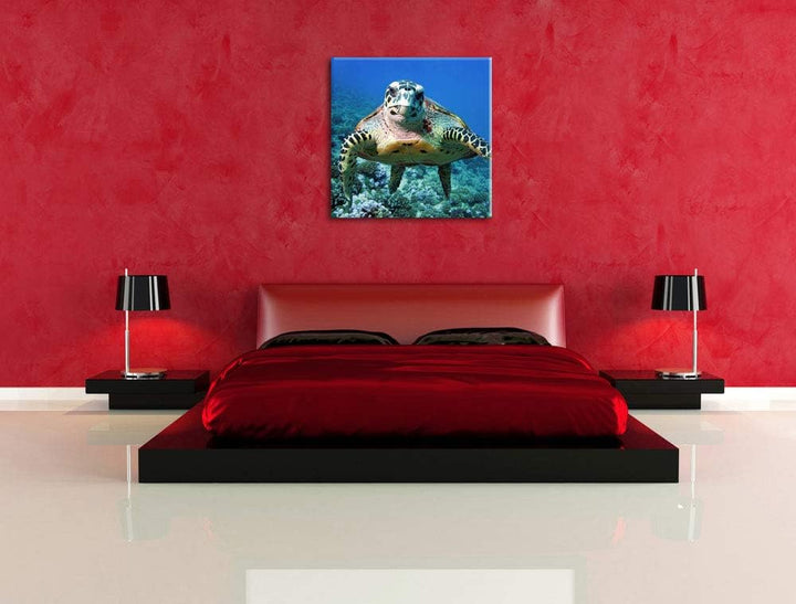 Pixxprint Schildkröte über Korallenriff, Format: 70x70 auf Leinwand, 70x70