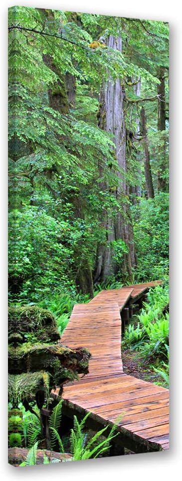 Febby Vlies Leinwandbild XXL Fussgängerbrücke Durch Den Wald 50x150 cm Wandbild Kunst Bilder Schlafz