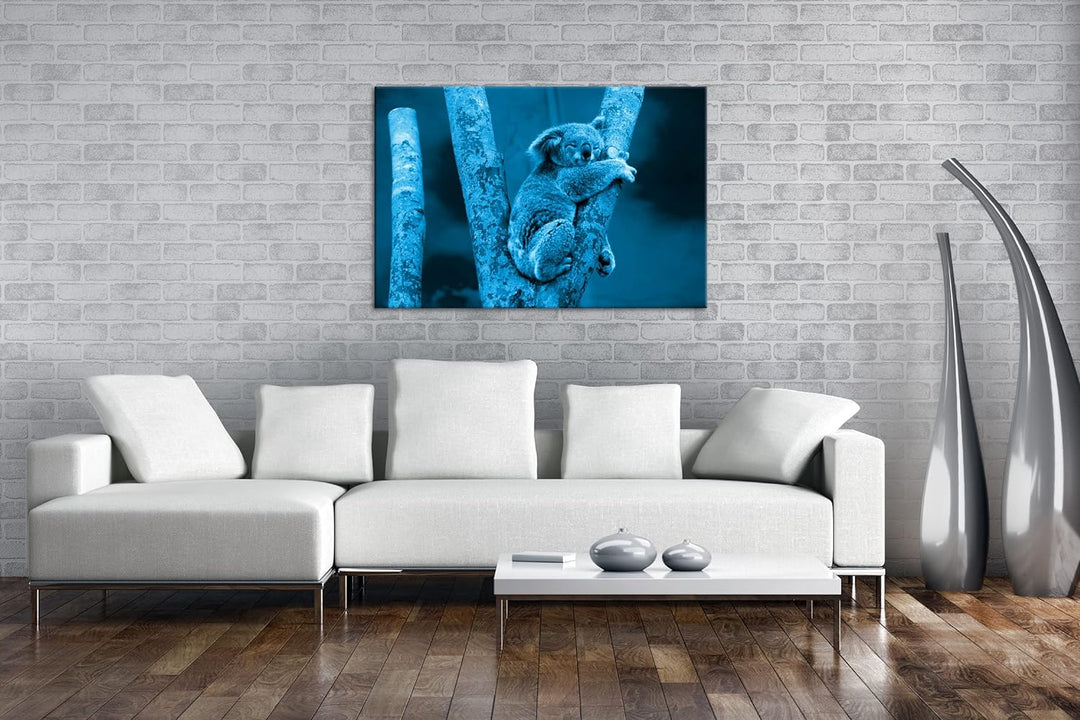 deyoli niedlich schlafender Koalabär Format 80x60 Effekt: Monocrome Blau als Leinwandbild, Motiv fer
