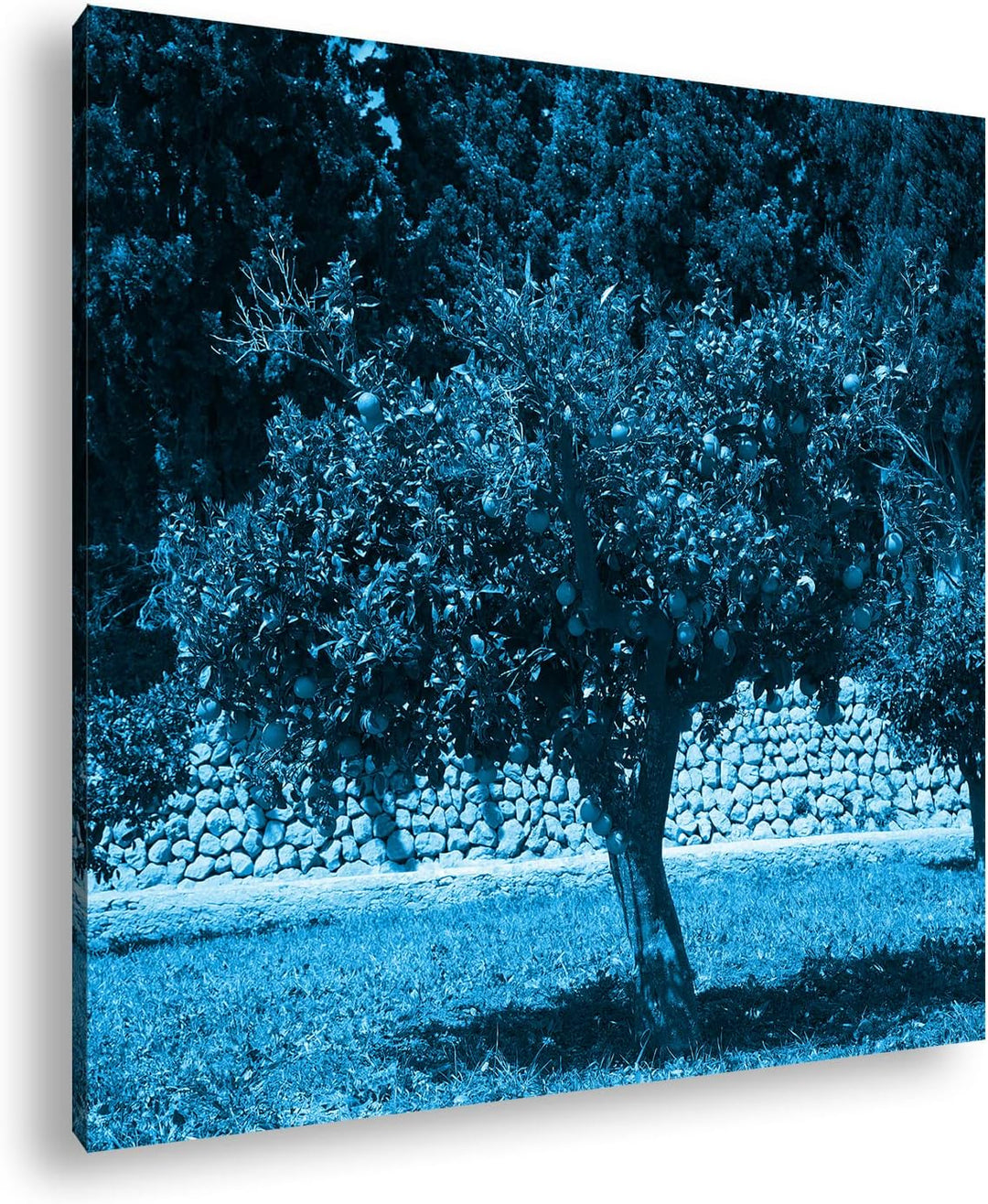 deyoli Orangenbäume im Garten Format: 60x60 Effekt: Monocrome Blau als Leinwandbild, Motiv fertig ge