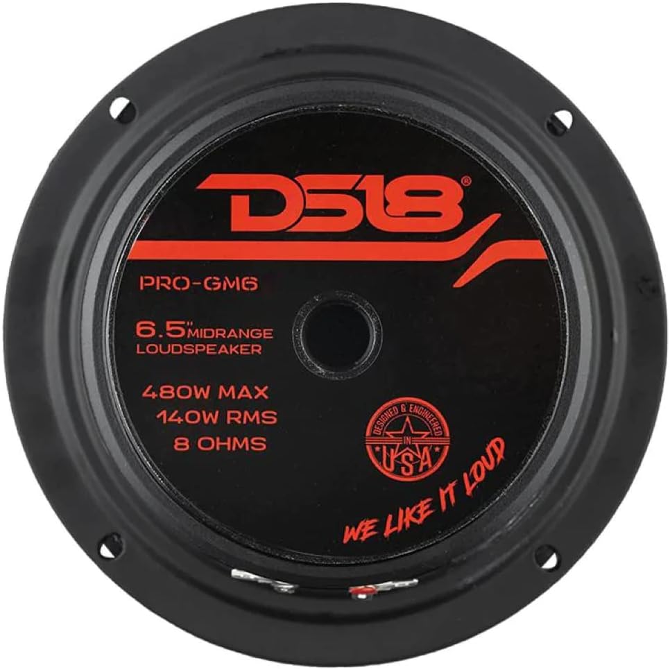 1 MIDRANGE DS18 PRO-GM6 Lautsprecher 16,5 cm 165 mm 6,5" Durchmesser 140 Watt RMS und 480 Watt max.