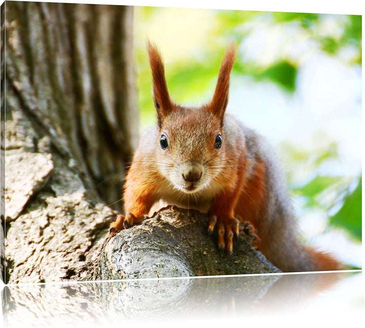 Pixxprint interessantes Eichhörnchen auf dem Baum, Format: 100x70 auf Leinwand, 100x70