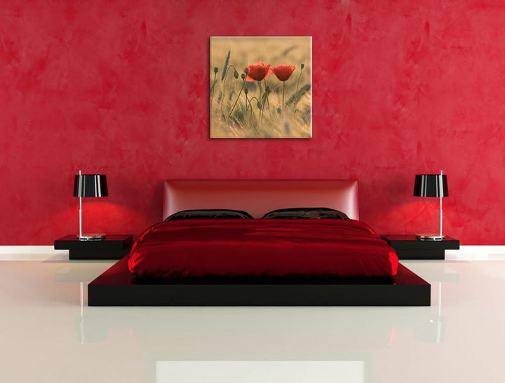 Zwei schöne Mohnblumen, Format: 70x70 auf Leinwand, XXL riesige Bilder fertig gerahmt mit Keilrahmen