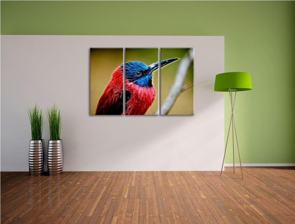 kleiner tropischer Vogel Spezial 3-Teiler Leinwandbild 120x80 Bild auf Leinwand, XXL riesige Bilder