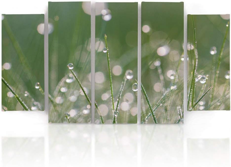 Feeby Frames, Leinwandbild Bilder Wand Bild - 5 Teile - Wandbilder Kunstdruck (TAUTROPFEN GRAS, GRÜN