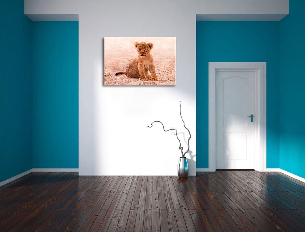 Verlassenes Löwenbaby, Format: 100x70 auf Leinwand, XXL riesige Bilder fertig gerahmt mit Keilrahmen