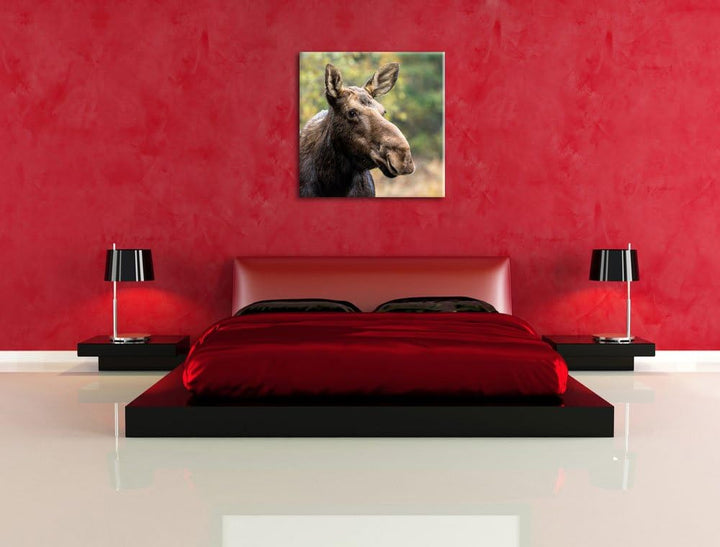 Pixxprint Elch im Wald, Format: 70x70 auf Leinwand, XXL riesige Bilder fertig gerahmt mit Keilrahmen