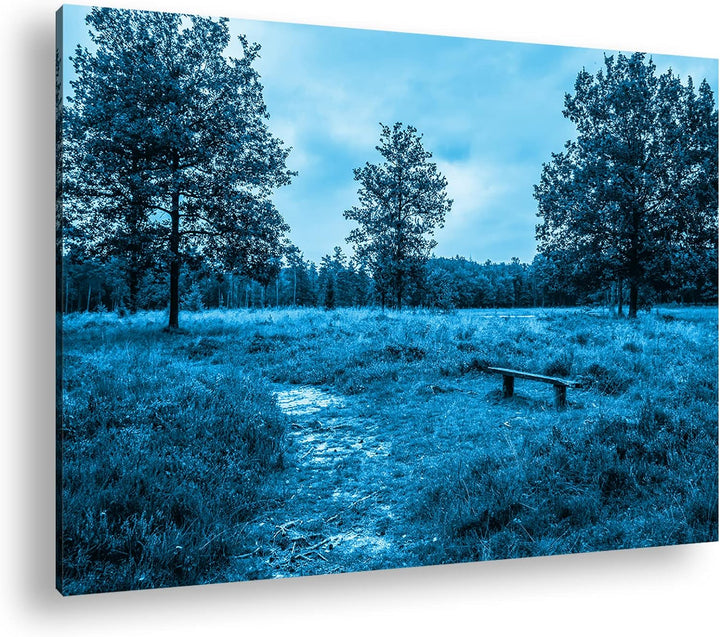 deyoli einsame Bank im Wald Format: 80x60 Effekt: Monocrome Blau als Leinwand, Motiv fertig gerahmt
