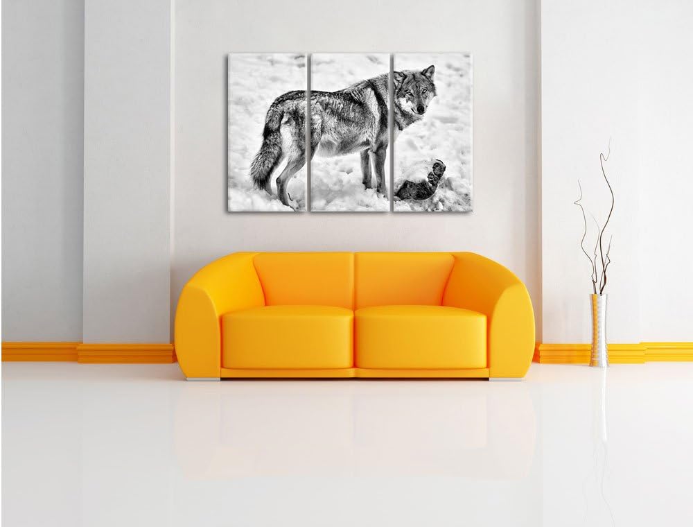 Pixxprint Monocrome, prächtiger Wolf im Schnee 3-Teiler Leinwandbild 120x80 Bild auf Leinwand
