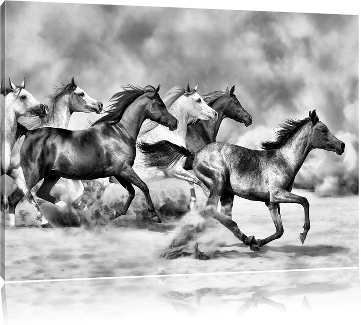Pixxprint Western Pferde in Wüste / 100x70cm Leinwandbild bespannt auf Holzrahmen/Wandbild Kunstdruc