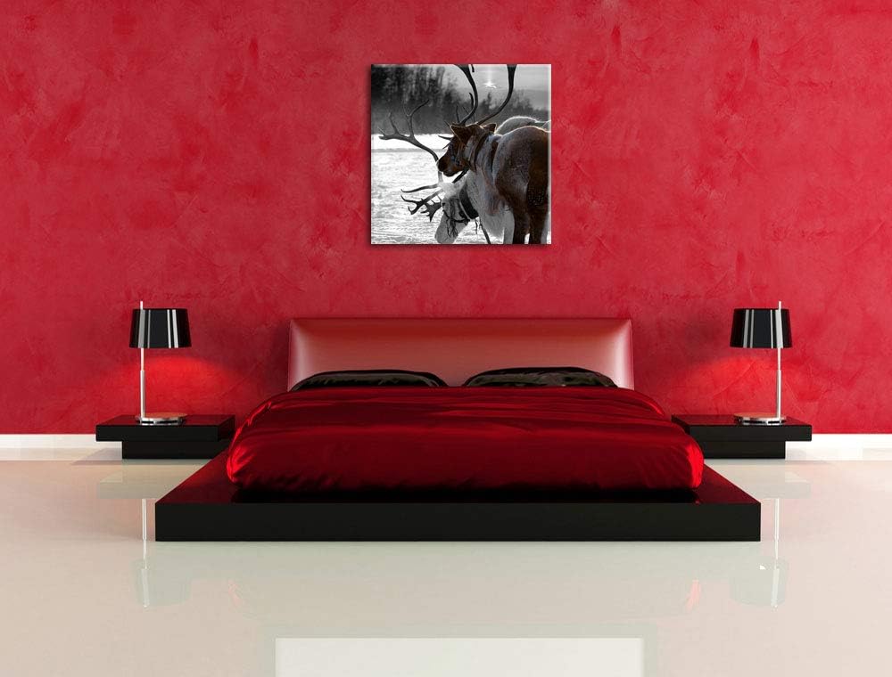 Pixxprint Rentiere im Schnee schwarz/weiss, Format: 70x70 auf Leinwand, 70x70