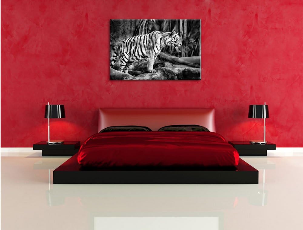 Monocrome, Tiger, Format: 100x70 auf Leinwand, XXL riesige Bilder fertig gerahmt mit Keilrahmen, Kun