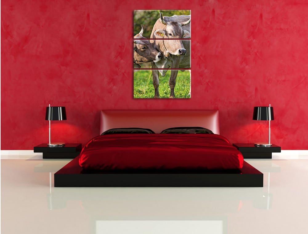 Pixxprint Kühe auf der Weide als Leinwandbild/Grösse: 3 Teilig (120x80 cm) cm/Wandbild/Kunstdruck/fe