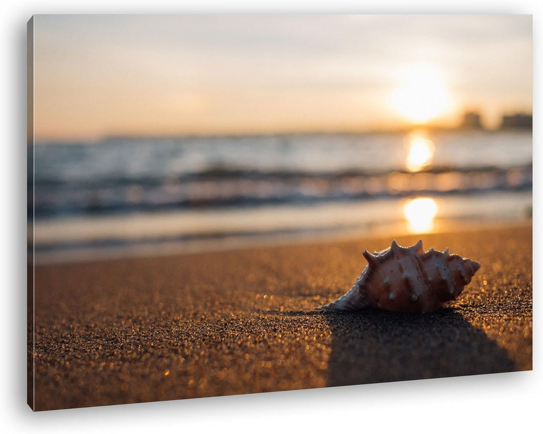 deyoli einzelne Muschel am Strand Format: 80x60 als Leinwand, Motiv fertig gerahmt auf Echtholzrahme