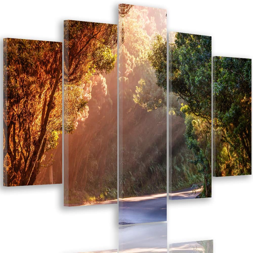 Feeby Wanddeko XXL Landschaft Leinwandbild 5 Teilig Weg Bäume Wald Natur bunt 100x70 cm Leinwandbild