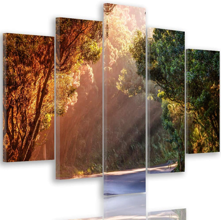 Feeby Wanddeko XXL Landschaft Leinwandbild 5 Teilig Weg Bäume Wald Natur bunt 100x70 cm Leinwandbild