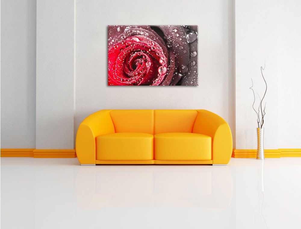 Pixxprint Rose mit Wassertropfen als Leinwandbild/Grösse: 100x70 cm/Wandbild/Kunstdruck/fertig bespa