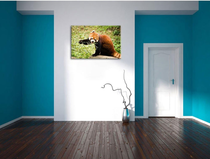 Niedlicher roter Panda, Format: 100x70 auf Leinwand, XXL riesige Bilder fertig gerahmt mit Keilrahme