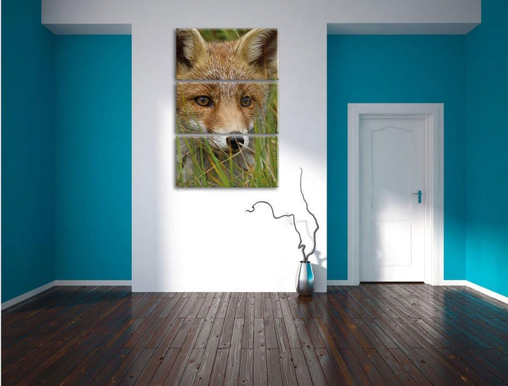 Pixxprint junger Fuchs auf Wiese als Leinwandbild/Grösse: 3 Teilig (120x80) cm/Wandbild/Kunstdruck/f